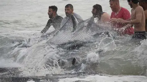 Documentário dos Pescadores